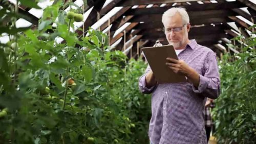 Assistenza compilazione domanda di disoccupazione agricola