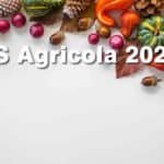 Disoccupazione agricola 2023 quando viene liquidata?