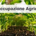 Requisiti domanda di disoccupazione agricola 2024