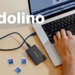 Cedolino INPS di Settembre 2024 online con Rimborsi e Aumenti