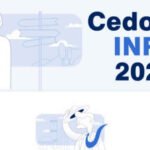 Verifica Cedolini Inps 2025