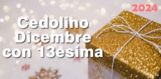 Cedolino Inps Dicembre 2024 con tredicesima e Bonus - come si consulta